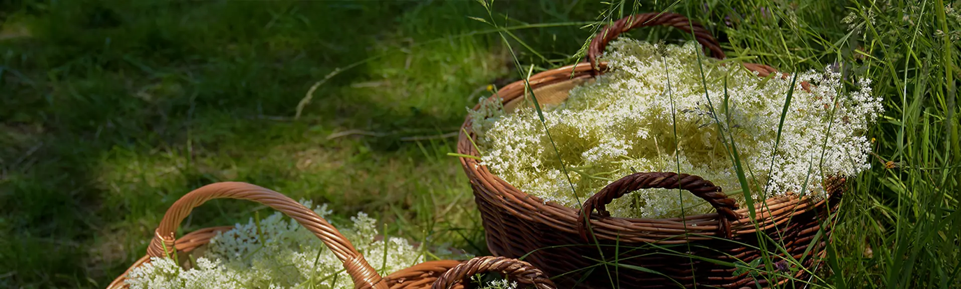 Biodroga Social Commitment